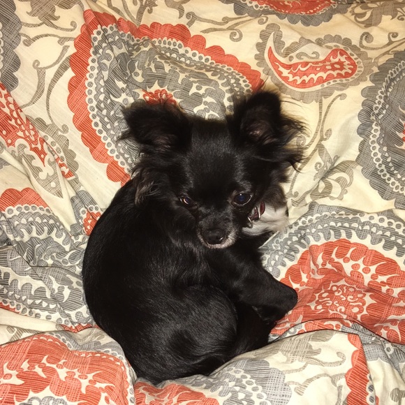 Meet your Posher, Kristi - Picture 3 of 8